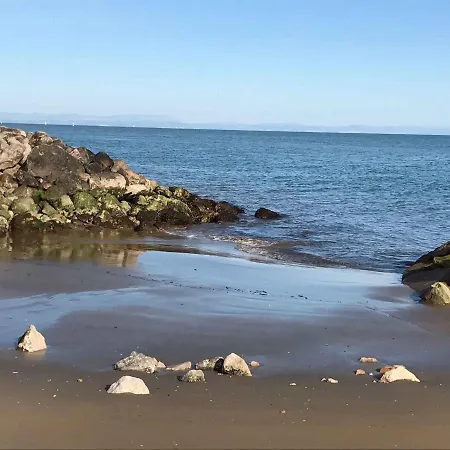 In 38309 * ביביונה