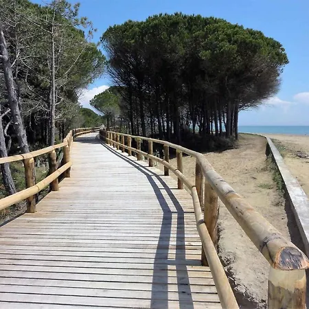 Apartamento In 38309 *